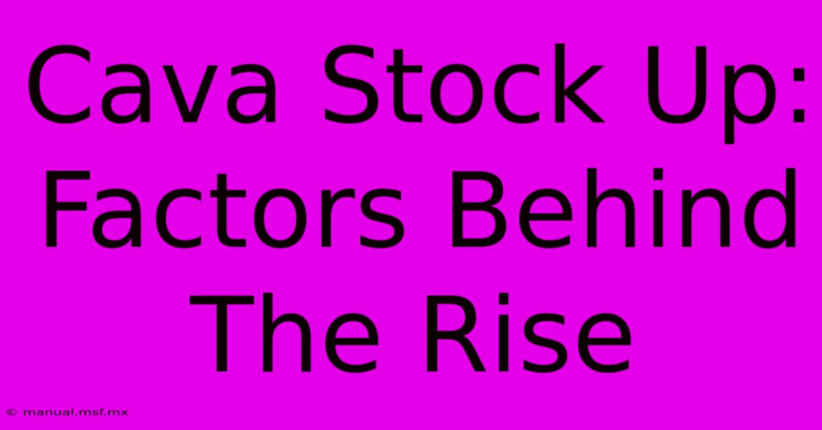 Cava Stock Up: Factors Behind The Rise 