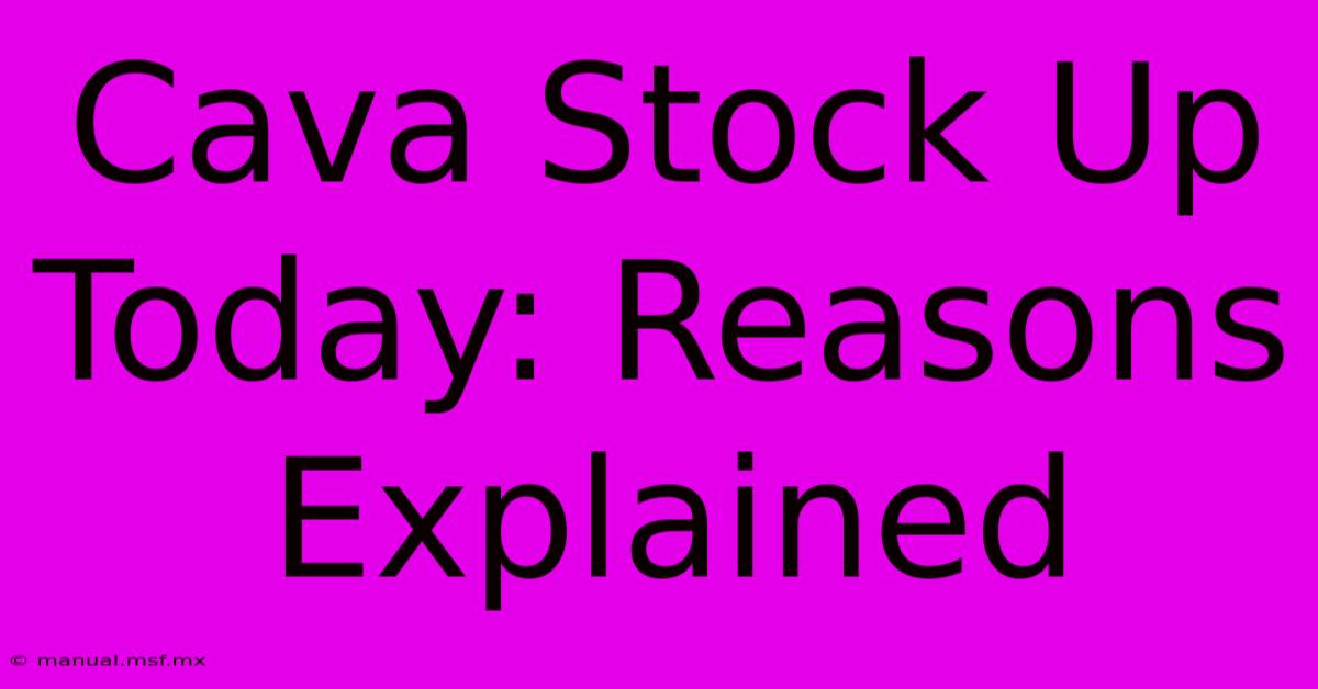 Cava Stock Up Today: Reasons Explained