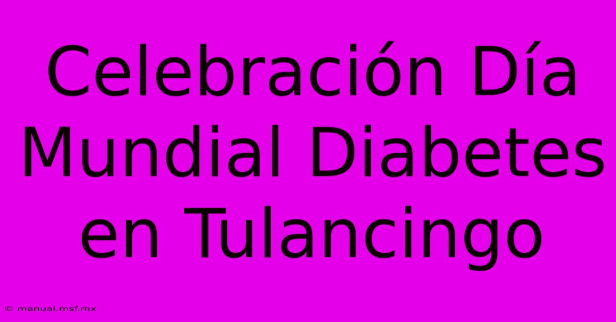 Celebración Día Mundial Diabetes En Tulancingo 