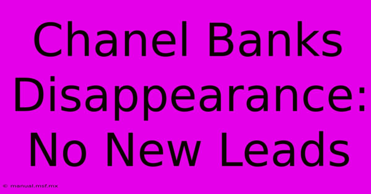 Chanel Banks Disappearance: No New Leads