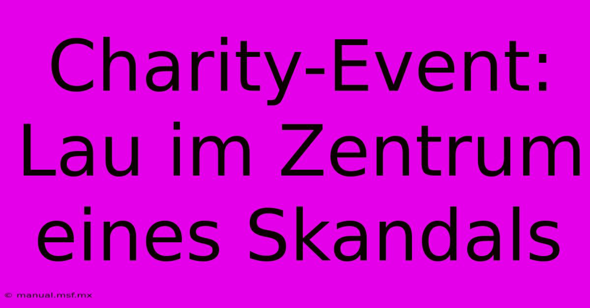 Charity-Event:  Lau Im Zentrum Eines Skandals 