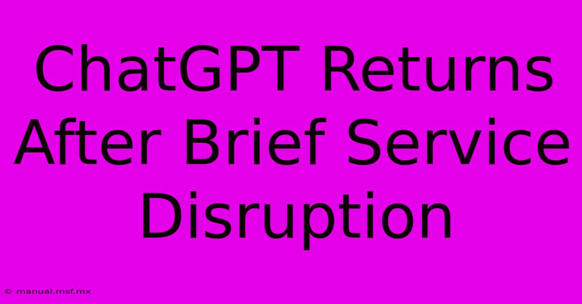 ChatGPT Returns After Brief Service Disruption