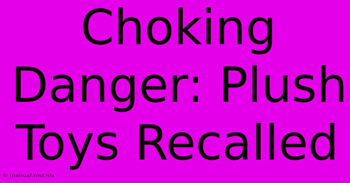 Choking Danger: Plush Toys Recalled