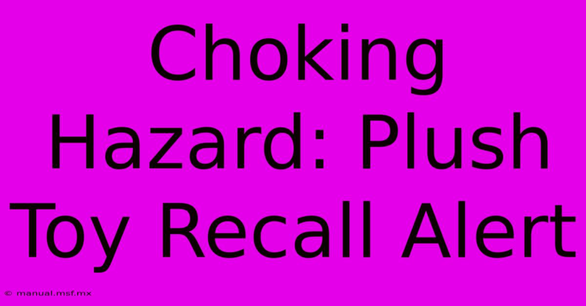 Choking Hazard: Plush Toy Recall Alert