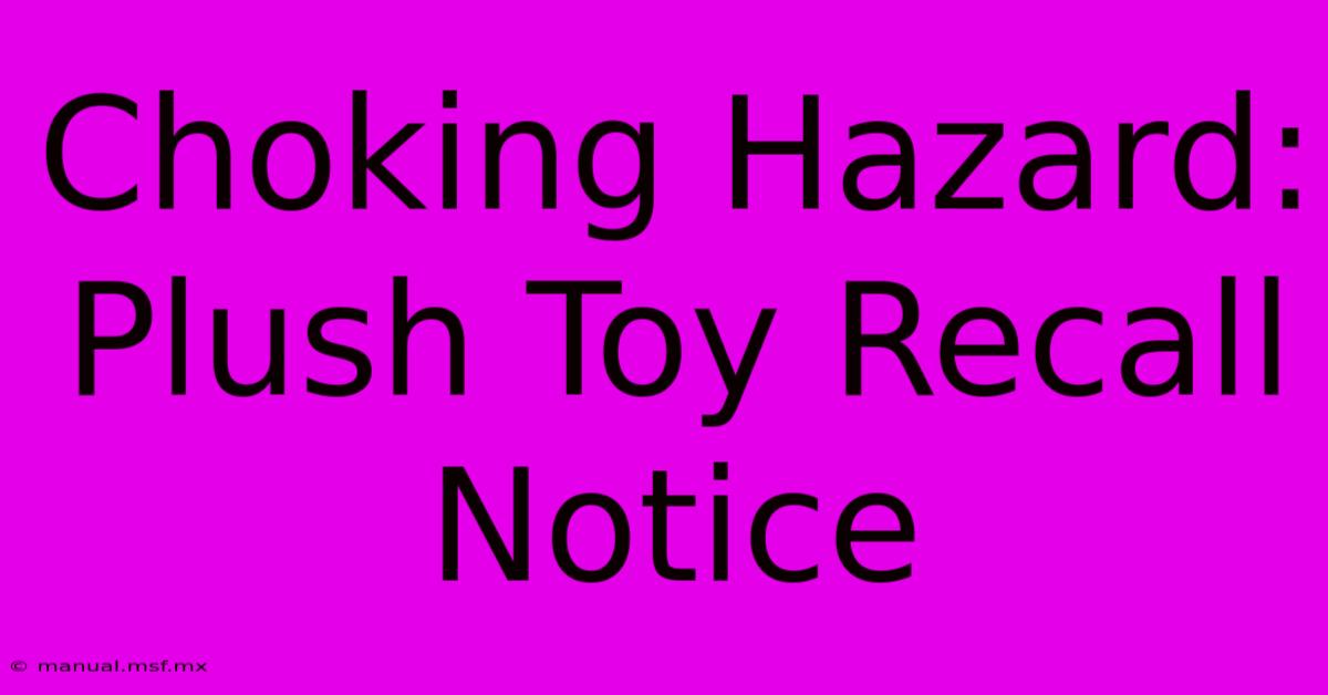 Choking Hazard: Plush Toy Recall Notice