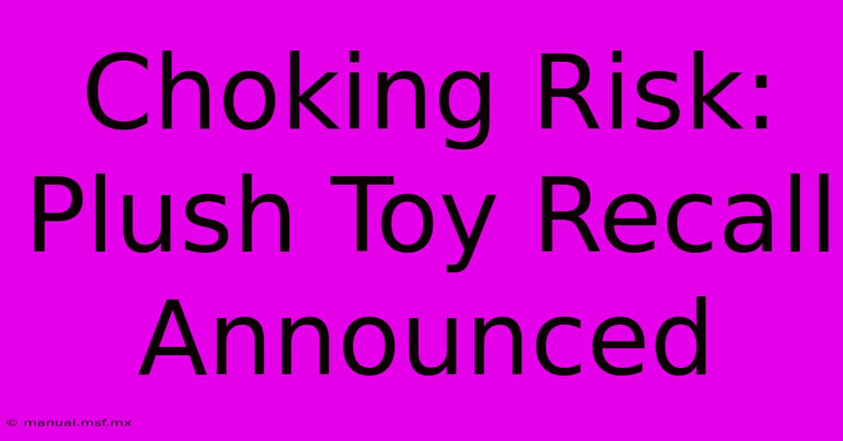 Choking Risk: Plush Toy Recall Announced