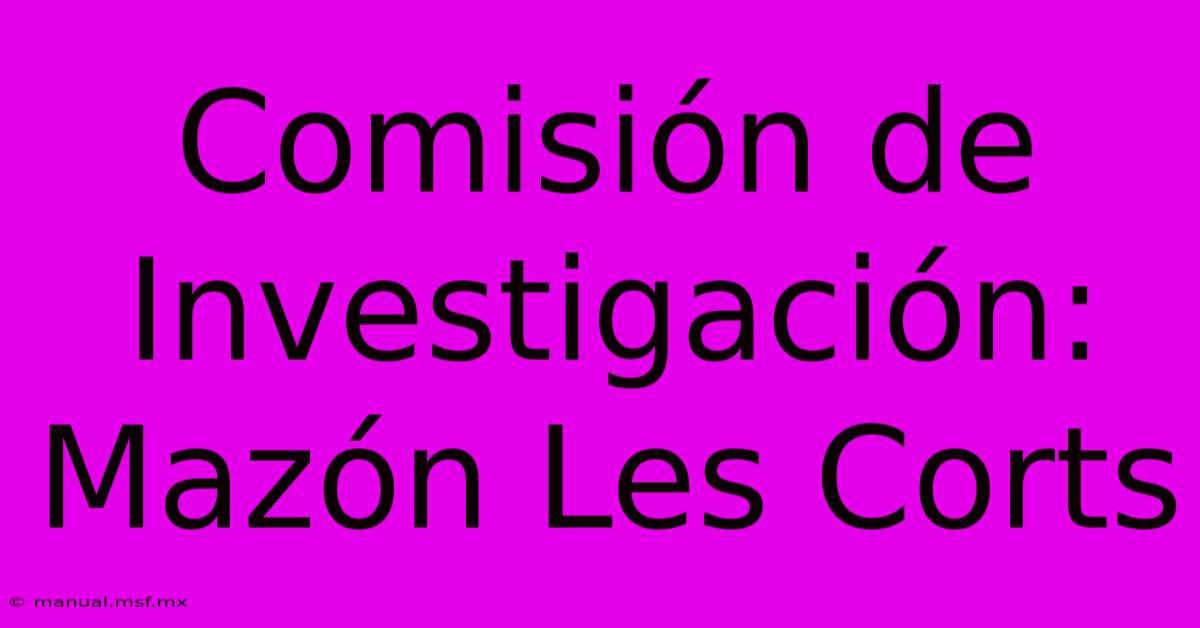 Comisión De Investigación: Mazón Les Corts 