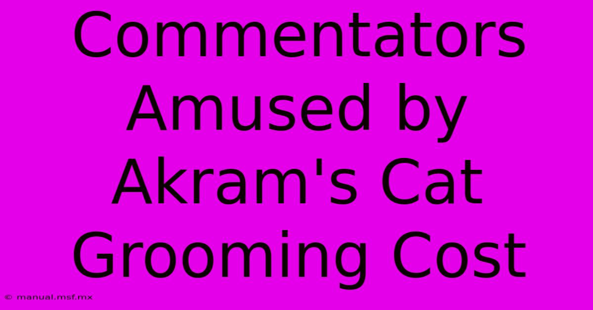 Commentators Amused By Akram's Cat Grooming Cost