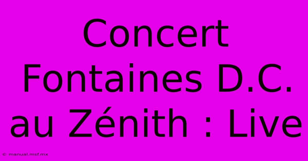 Concert Fontaines D.C. Au Zénith : Live 