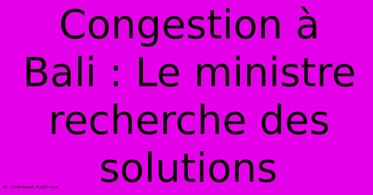 Congestion À Bali : Le Ministre Recherche Des Solutions