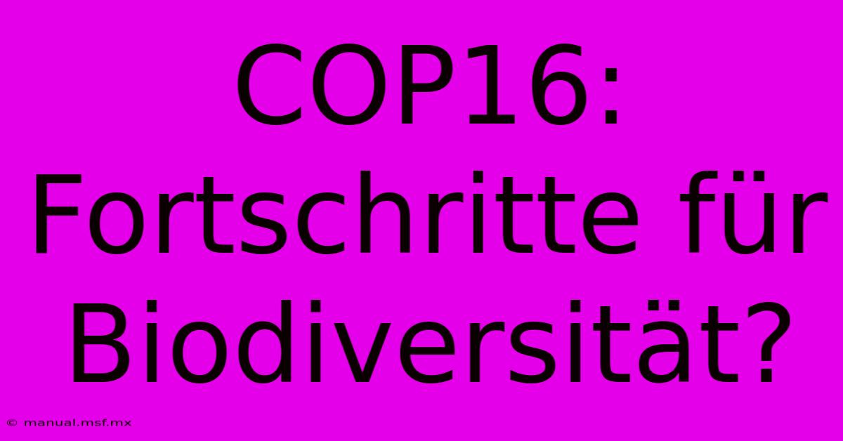 COP16: Fortschritte Für Biodiversität?