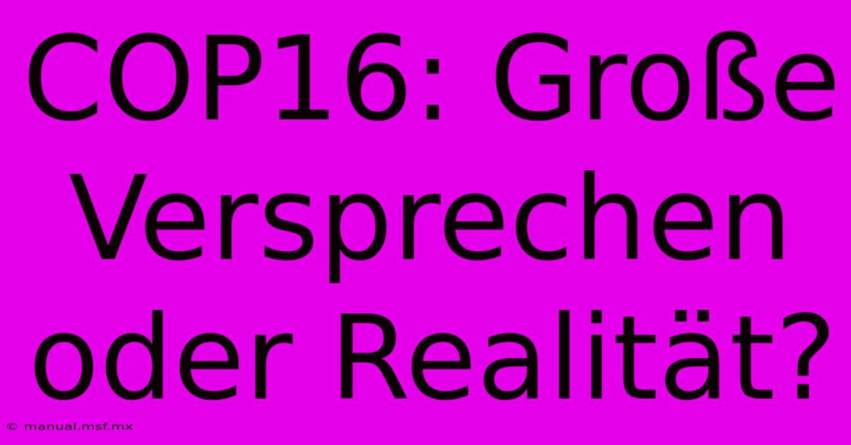 COP16: Große Versprechen Oder Realität?