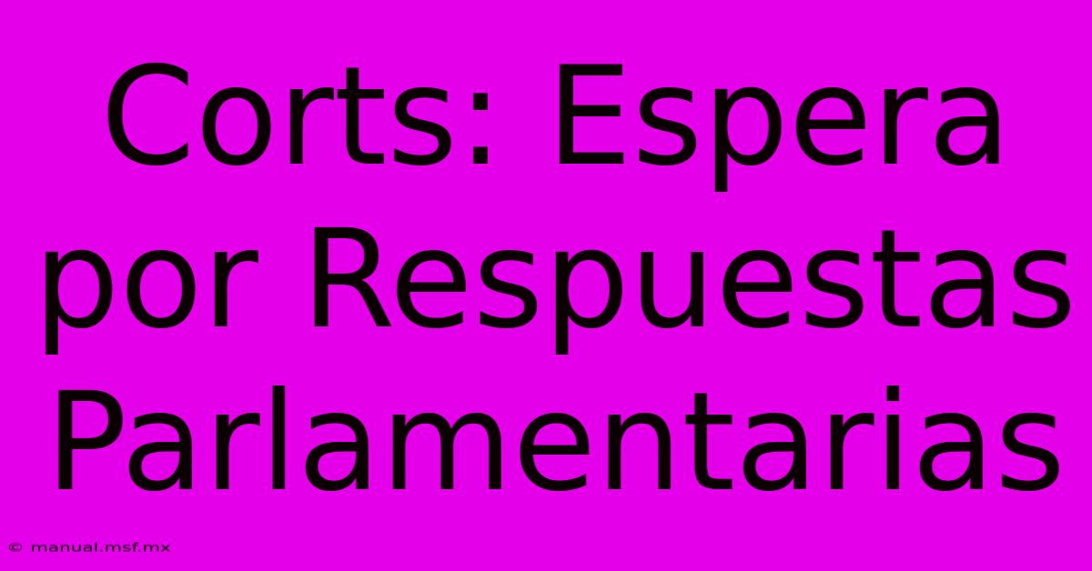 Corts: Espera Por Respuestas Parlamentarias