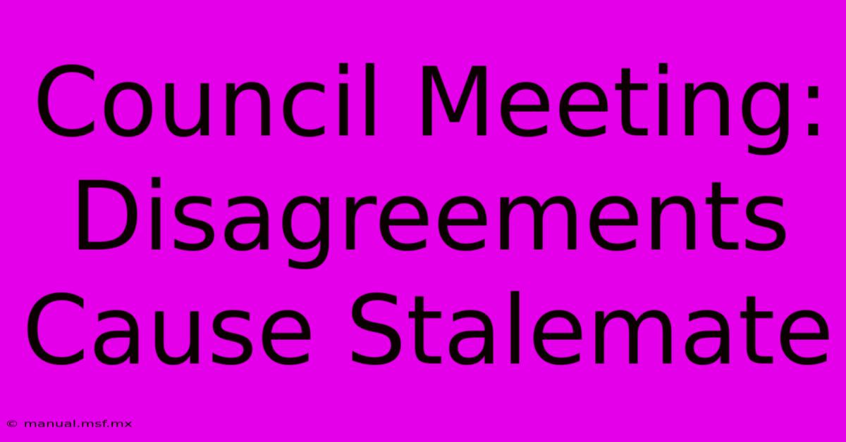 Council Meeting:  Disagreements  Cause Stalemate