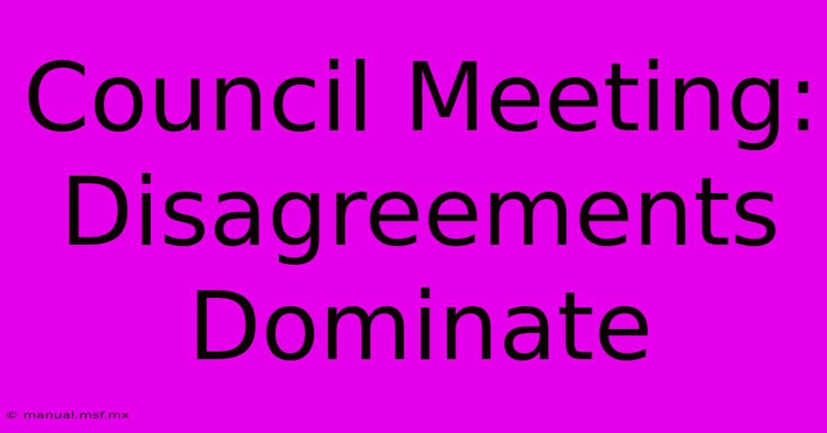 Council Meeting:  Disagreements Dominate 