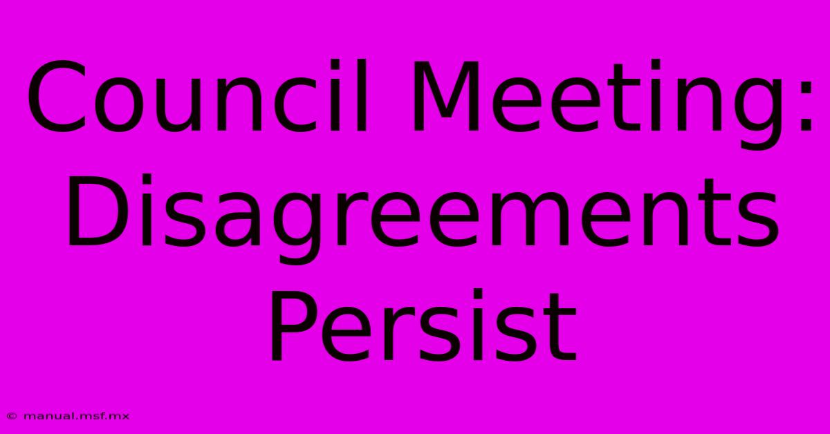 Council Meeting: Disagreements Persist