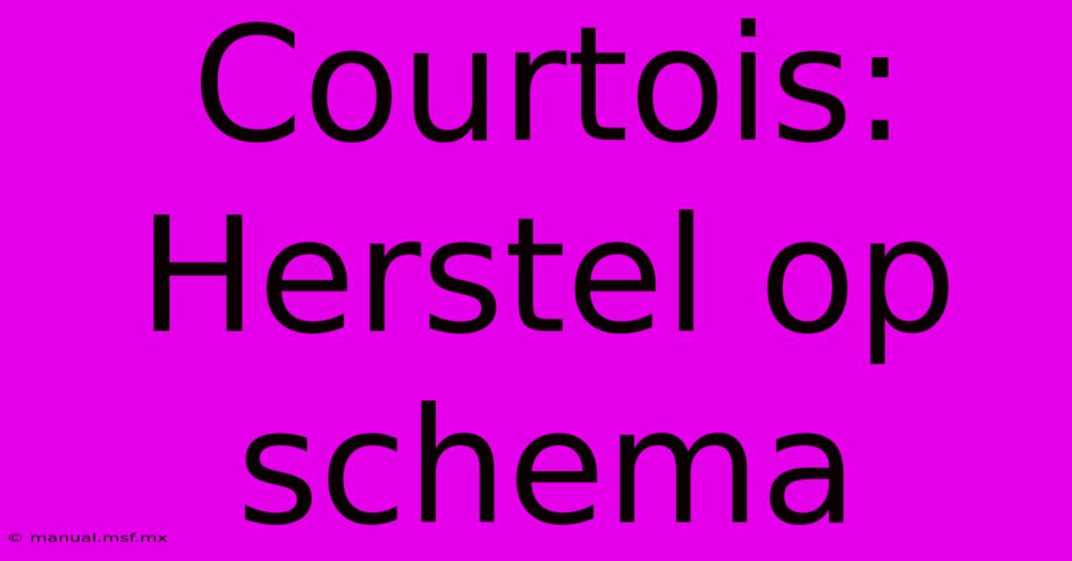 Courtois: Herstel Op Schema