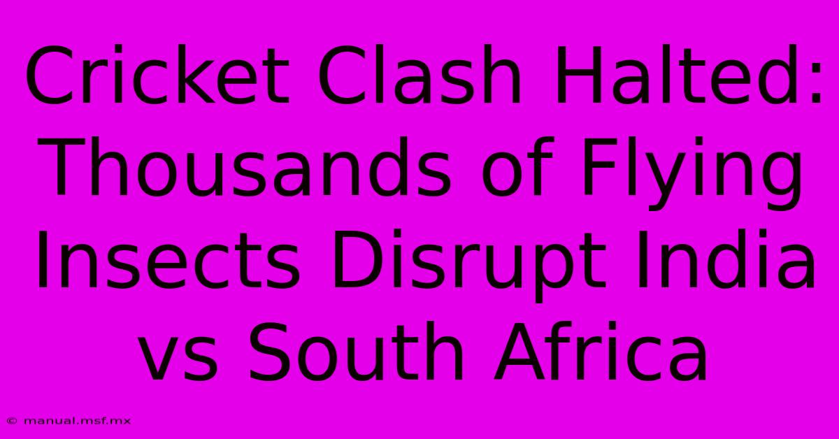 Cricket Clash Halted: Thousands Of Flying Insects Disrupt India Vs South Africa