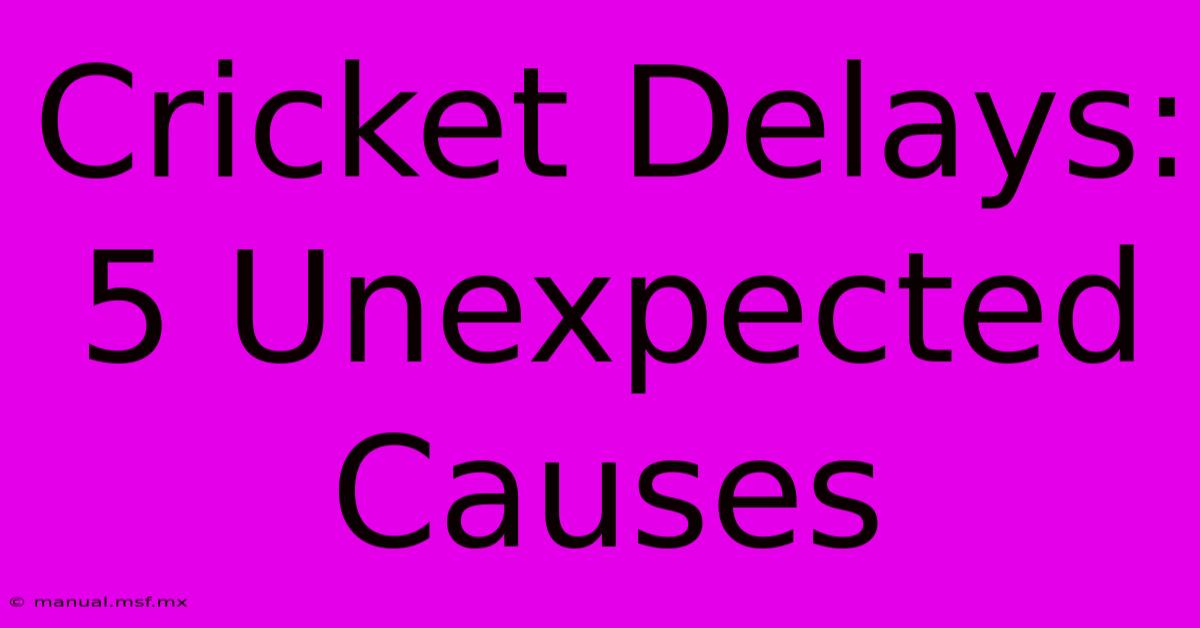 Cricket Delays: 5 Unexpected Causes