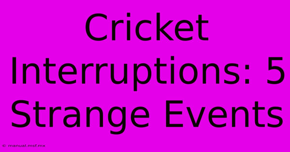 Cricket Interruptions: 5 Strange Events