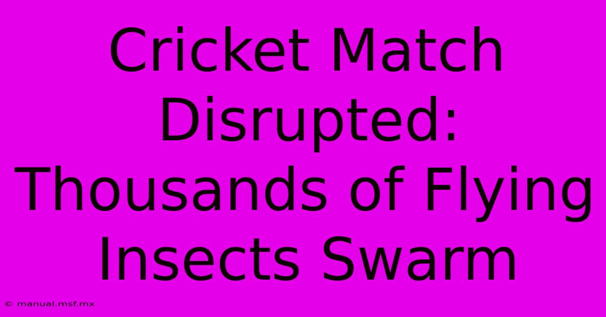 Cricket Match Disrupted: Thousands Of Flying Insects Swarm