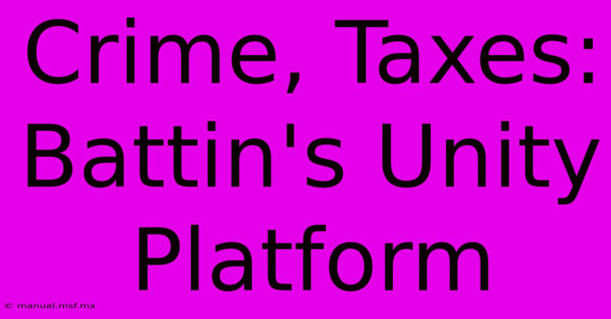 Crime, Taxes: Battin's Unity Platform