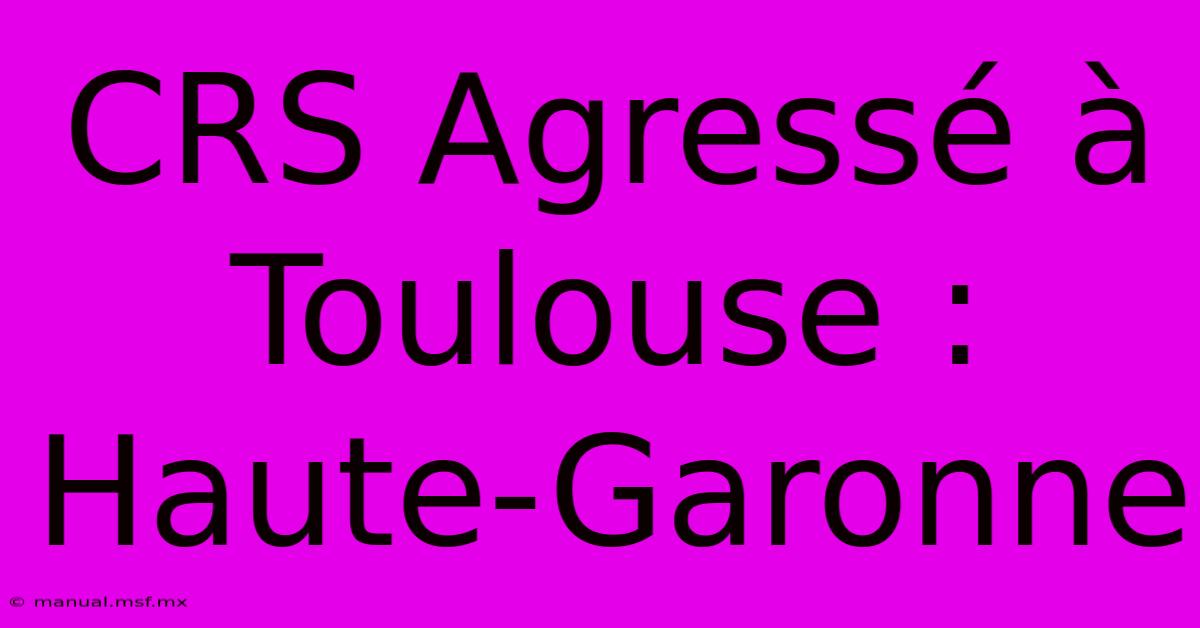 CRS Agressé À Toulouse : Haute-Garonne