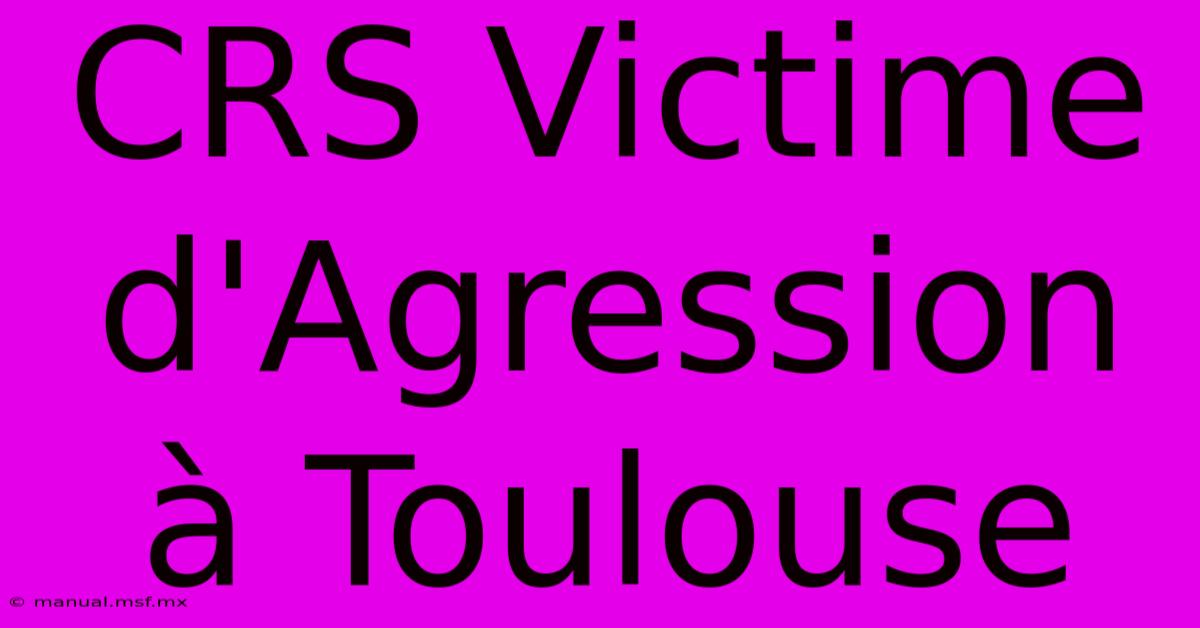 CRS Victime D'Agression À Toulouse