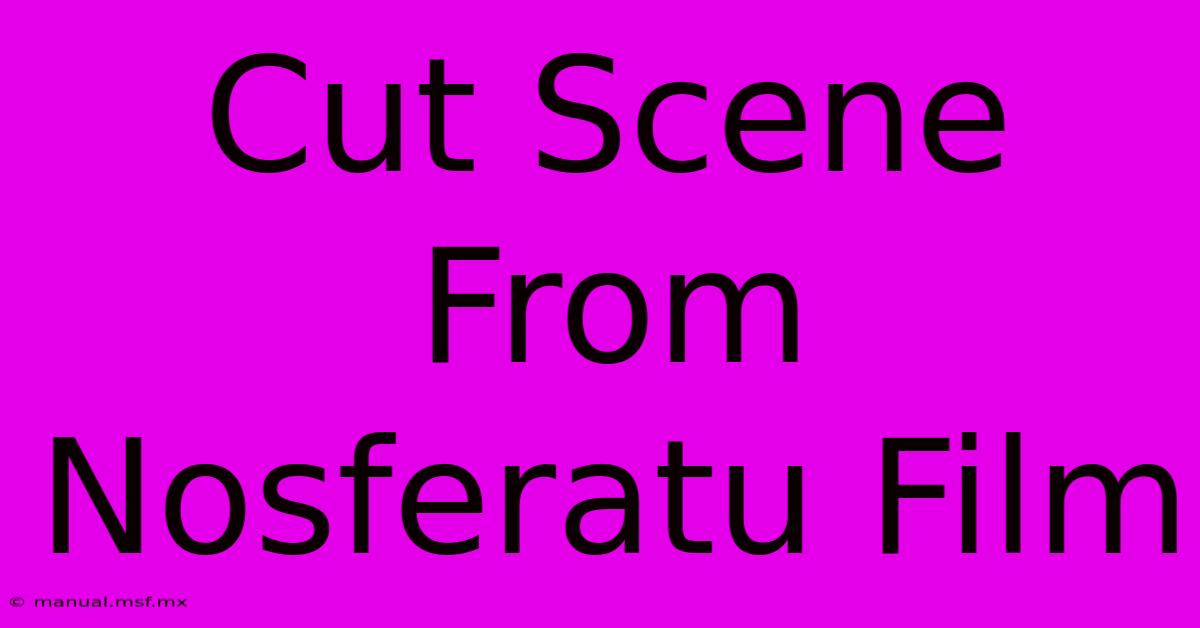 Cut Scene From Nosferatu Film