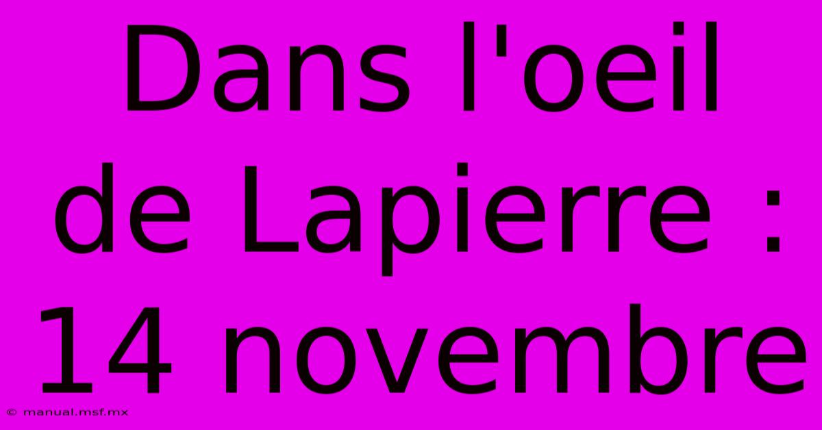 Dans L'oeil De Lapierre : 14 Novembre