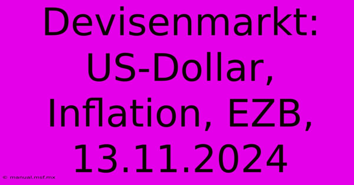 Devisenmarkt: US-Dollar, Inflation, EZB, 13.11.2024