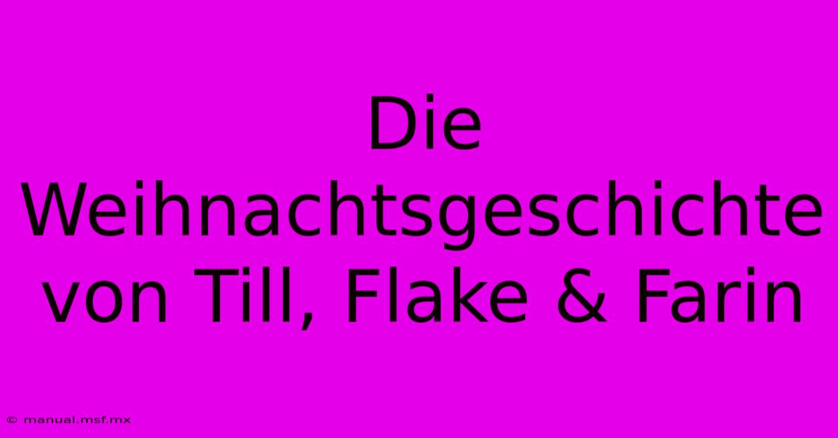 Die Weihnachtsgeschichte Von Till, Flake & Farin