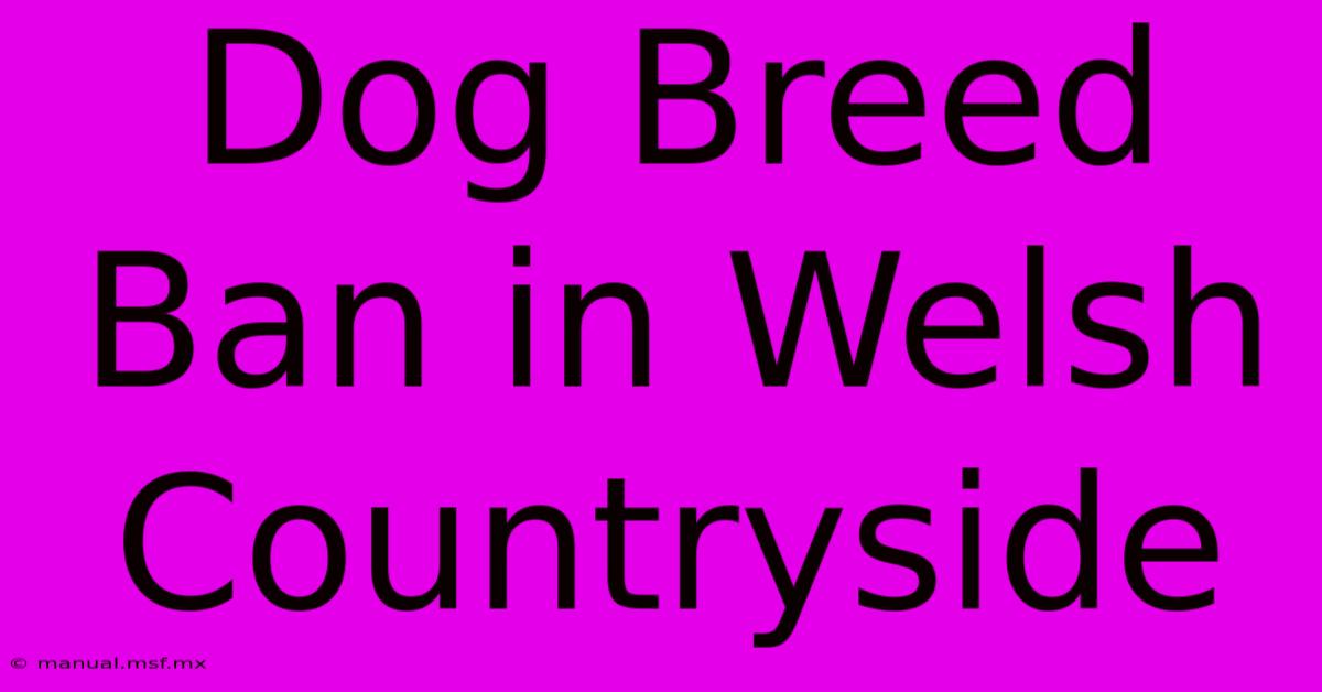 Dog Breed Ban In Welsh Countryside