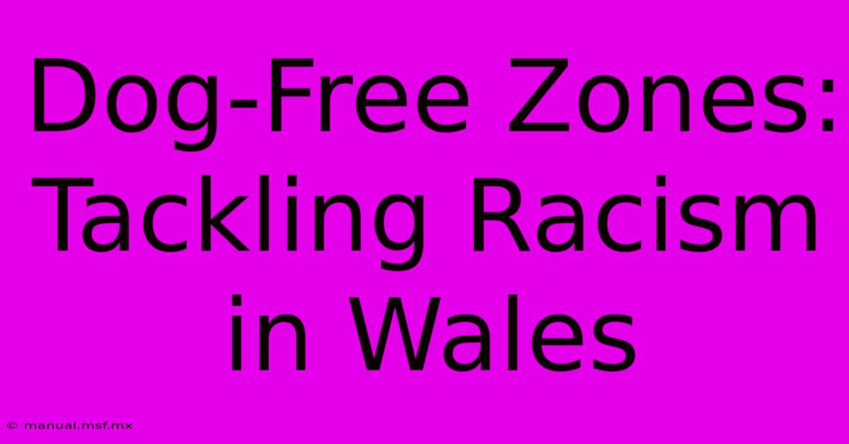 Dog-Free Zones: Tackling Racism In Wales