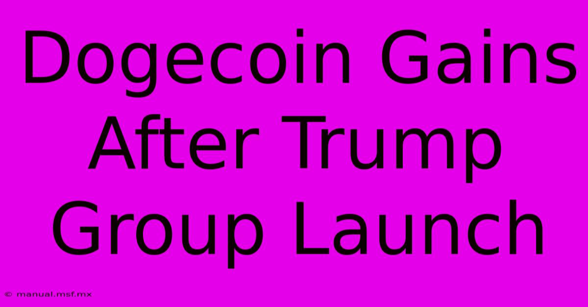 Dogecoin Gains After Trump Group Launch