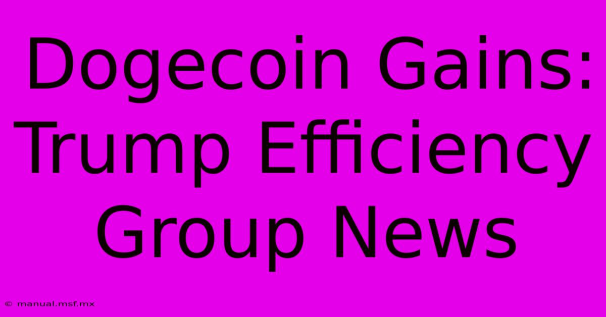 Dogecoin Gains: Trump Efficiency Group News 