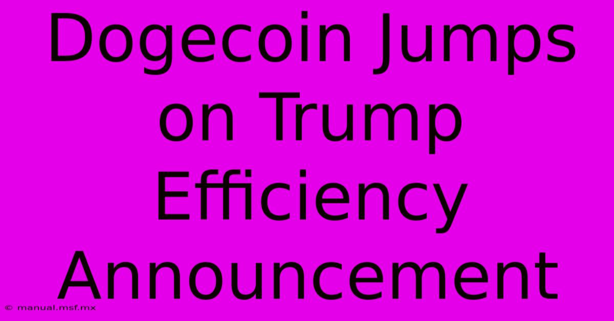 Dogecoin Jumps On Trump Efficiency Announcement