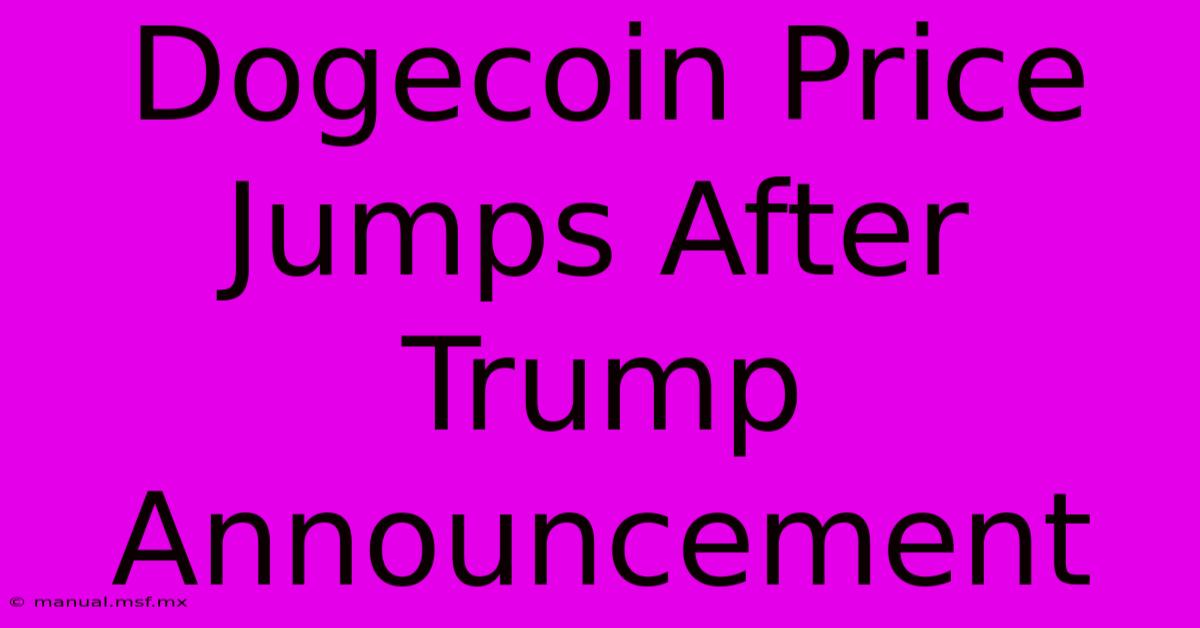 Dogecoin Price Jumps After Trump Announcement