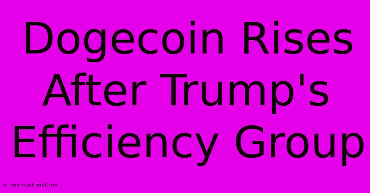 Dogecoin Rises After Trump's Efficiency Group 