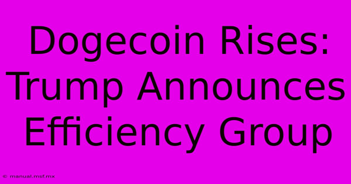 Dogecoin Rises: Trump Announces Efficiency Group