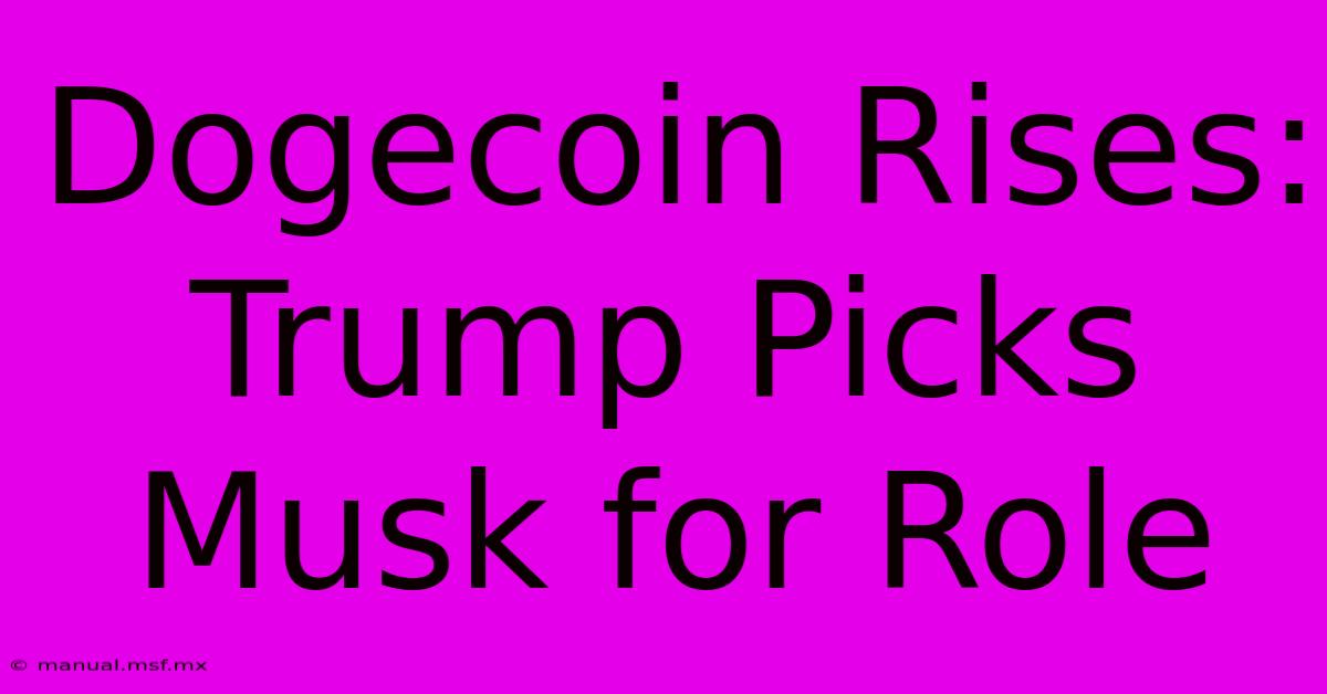 Dogecoin Rises: Trump Picks Musk For Role