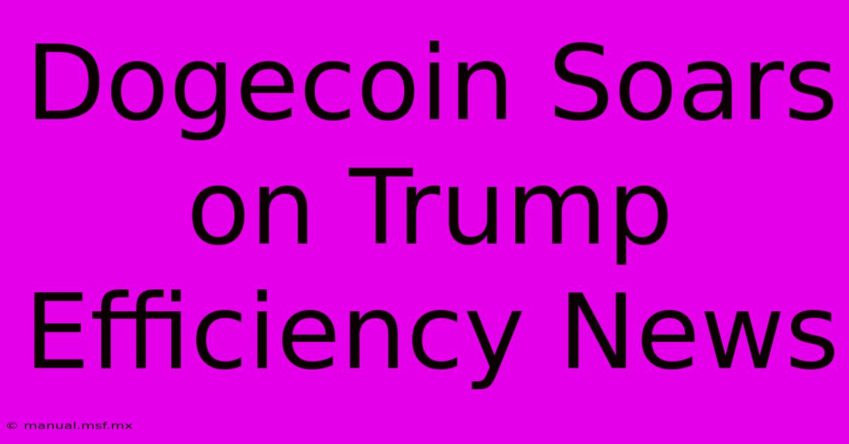 Dogecoin Soars On Trump Efficiency News 