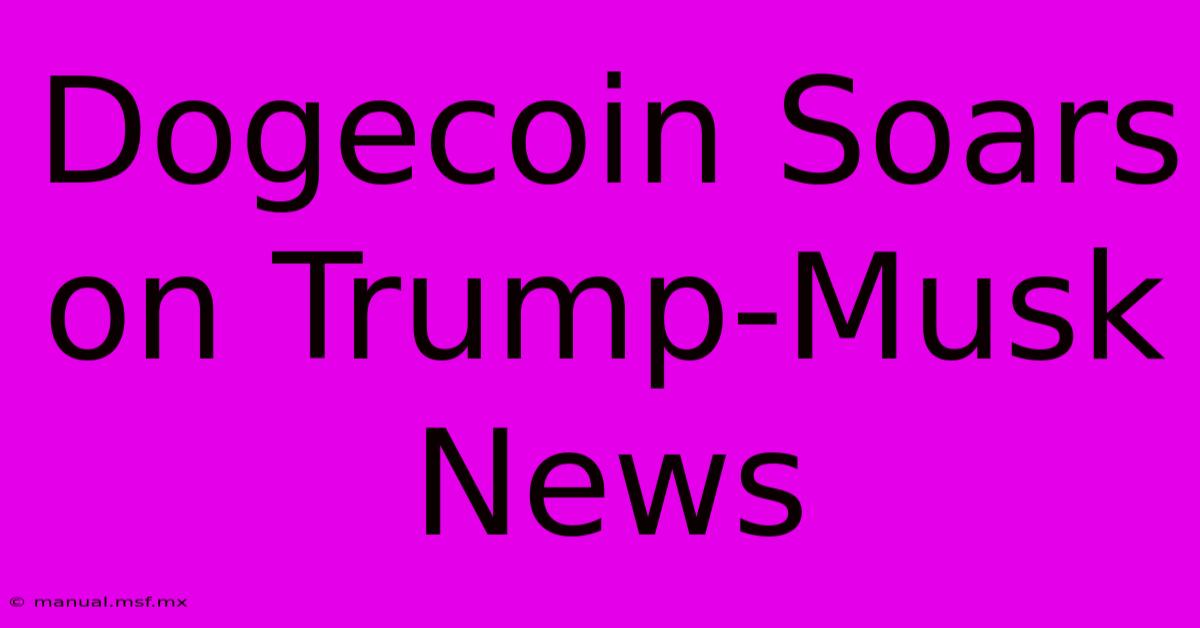 Dogecoin Soars On Trump-Musk News