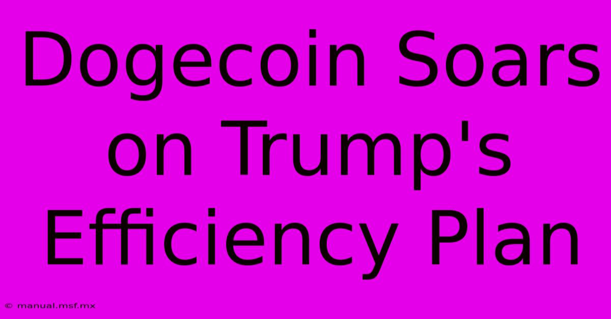 Dogecoin Soars On Trump's Efficiency Plan