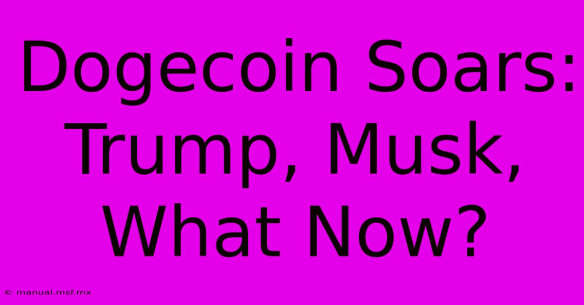 Dogecoin Soars: Trump, Musk, What Now? 