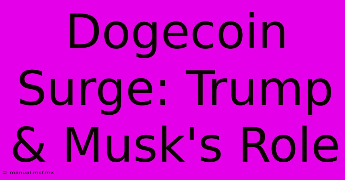 Dogecoin Surge: Trump & Musk's Role 