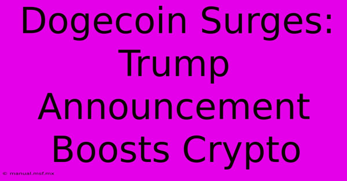 Dogecoin Surges: Trump Announcement Boosts Crypto