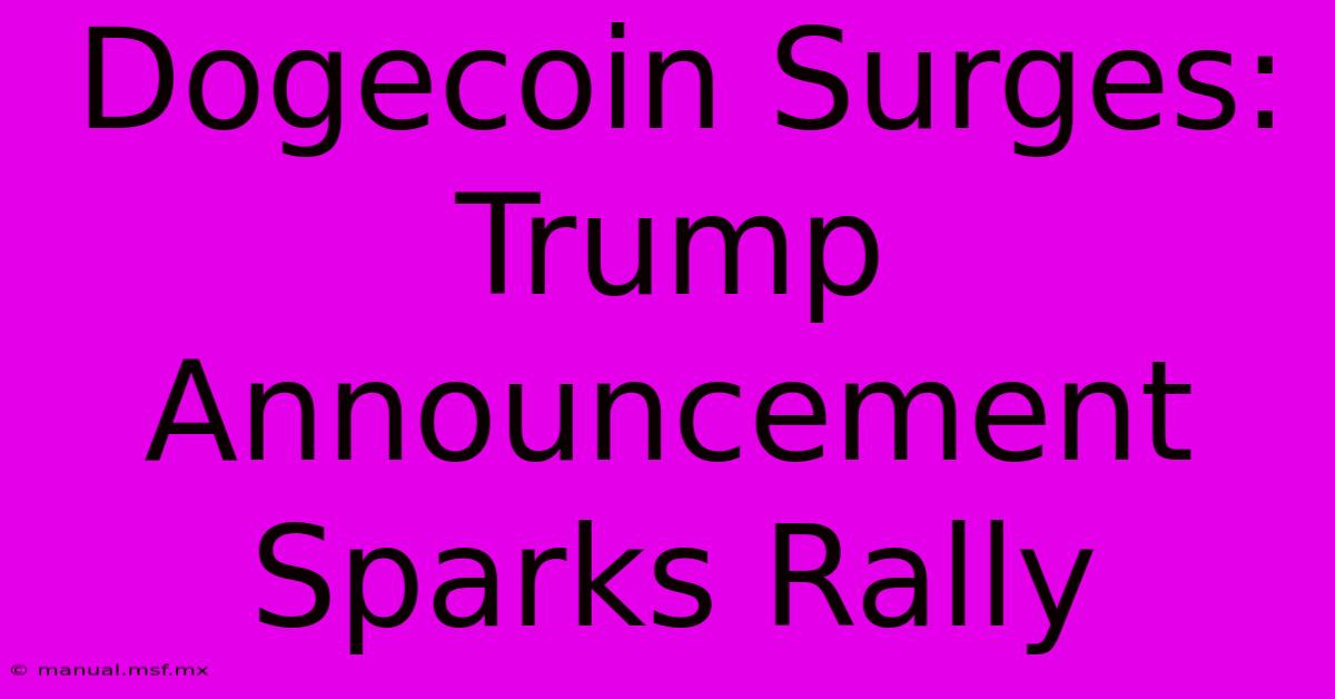 Dogecoin Surges: Trump Announcement Sparks Rally