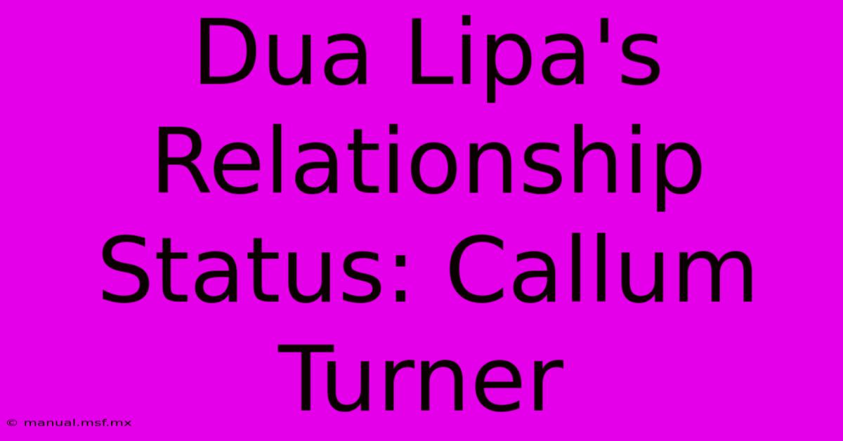 Dua Lipa's Relationship Status: Callum Turner