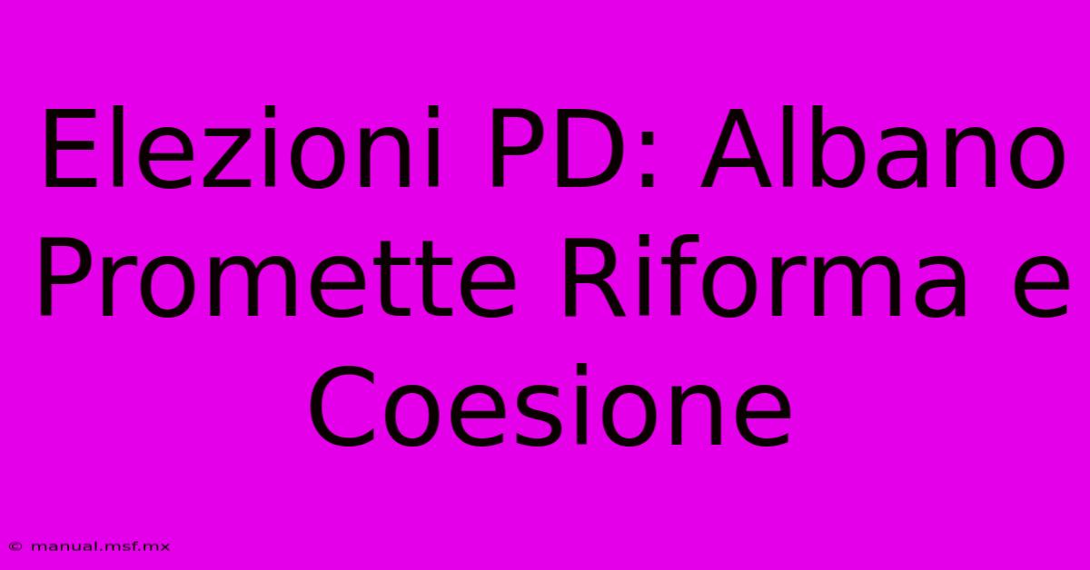 Elezioni PD: Albano Promette Riforma E Coesione 